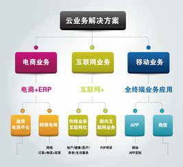 大數據 驅動未來的核心服務與價值革命